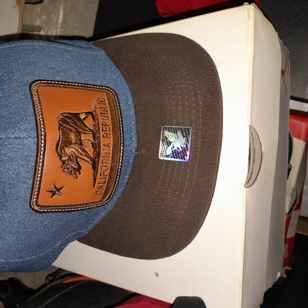 Blue and Brown Cap